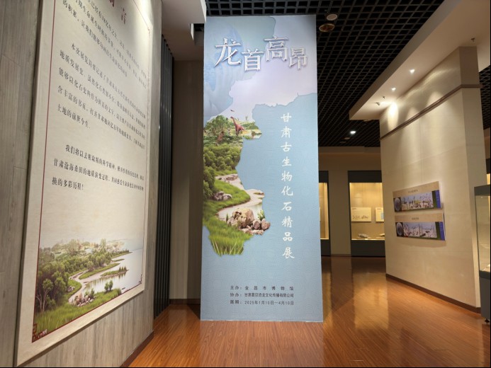 信息2：《龙首高昂——甘肃古生物化石展》在金昌市博物馆正式开展(1)85.png