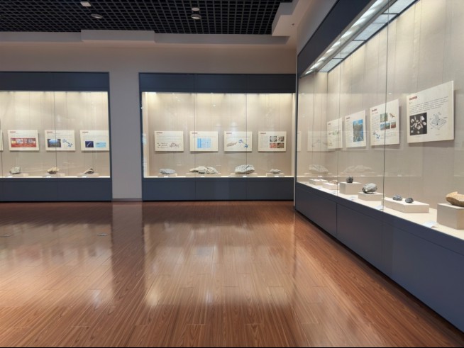 信息2：《龙首高昂——甘肃古生物化石展》在金昌市博物馆正式开展(1)495.png