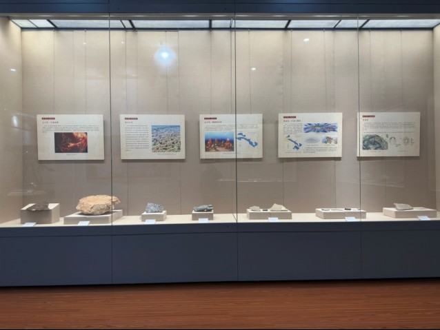 信息2：《龙首高昂——甘肃古生物化石展》在金昌市博物馆正式开展(1)481.png