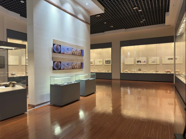 信息2：《龙首高昂——甘肃古生物化石展》在金昌市博物馆正式开展(1)502.png