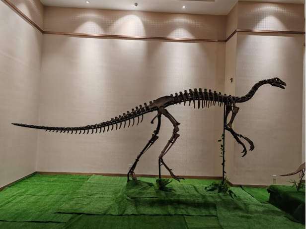 信息1：《大夏巨龙入驻金昌市博物馆  甘肃古生物化石精品展布展工程取得阶段性成果》454.png