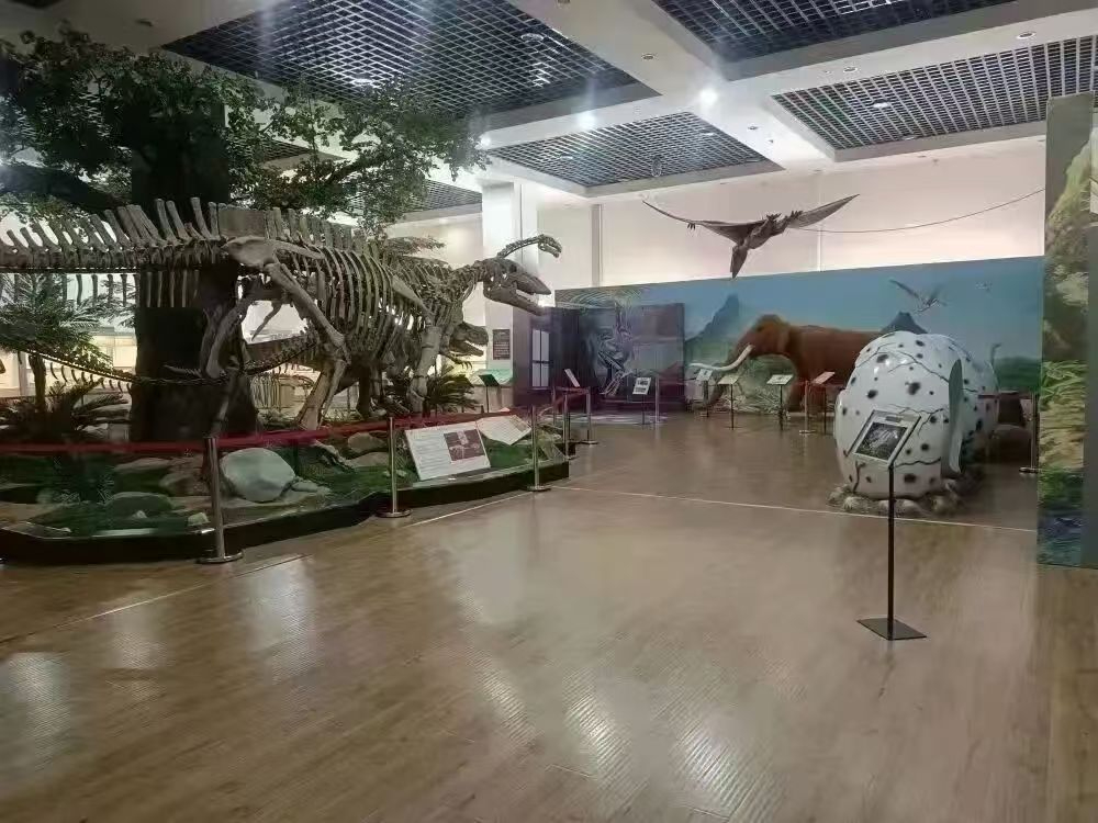 17773401501777340150832199 (1).jpg